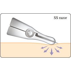 Feather Artist Club SS Folding Hair Razor