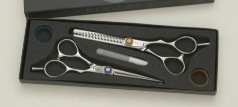 professional hair shears set