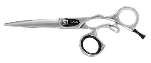 professional hair cutting shears