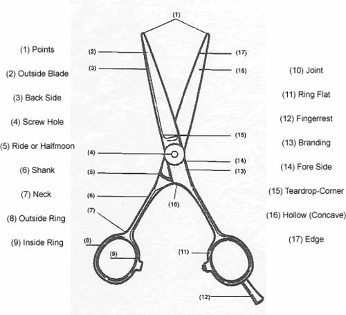 types of hair cutting tools